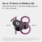 Beats Wireless Bluetooth Earbuds - 3