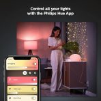 Philips Hue Smart Plug - 6